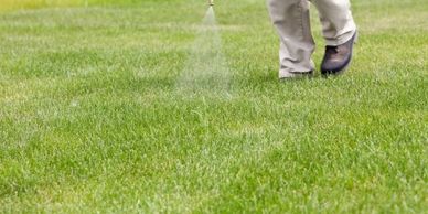 Weed Control Treatment