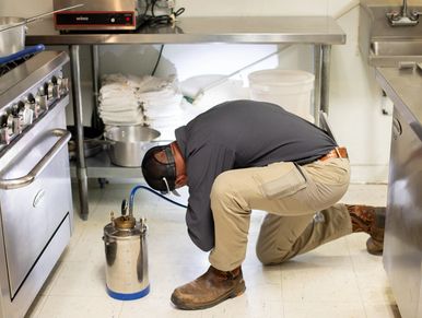 Photo of technician treating a commercial kitchen for pest control.