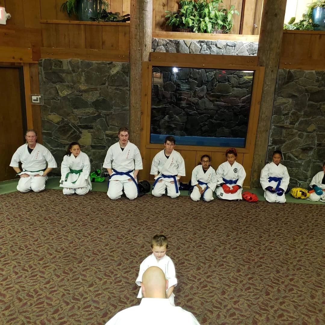 Karate, Martial Arts Shinzo Kaizen Dojo Washington