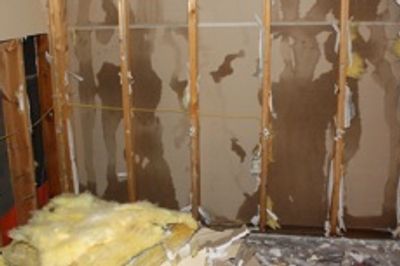 Soot & Water Damage, Mold Remediation