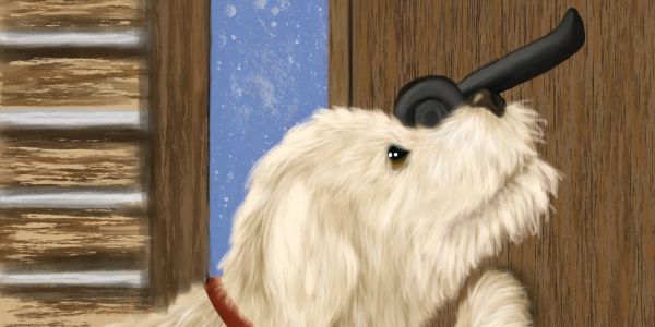Fluffy dog holding a door handle.