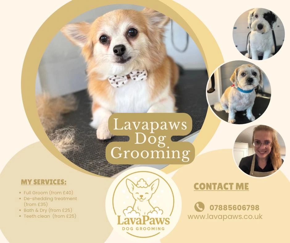 Lavapaws Dog Grooming offers professional grooming services for dogs.