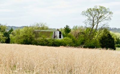 Batey Farm greenspace lower 35 | Hendersonville, TN | photo by Susan Olivas