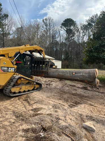 A yellow Caterpillar machine lifting a large tree trunk.