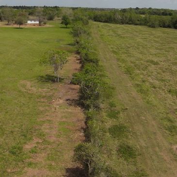 Pasture fence line in Liverpool Tx