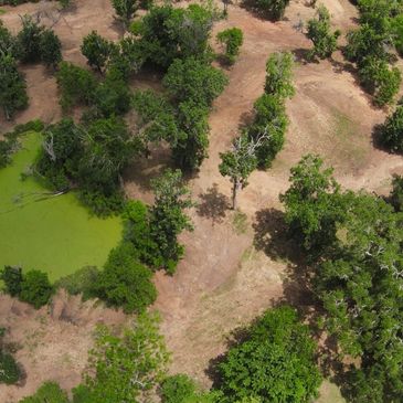 Land clearing in Rosharon TX