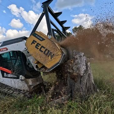 Bobcat T770 and Fecon BK7618V grinding stump in Solcum Tx