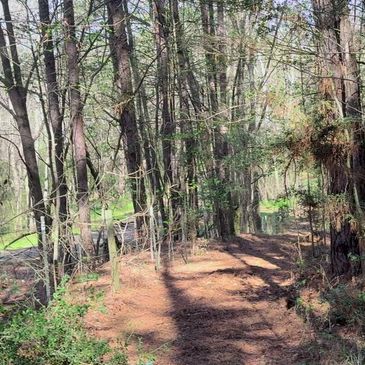 Trail cut next to fence for ATV and horse riding in Elkhart Tx