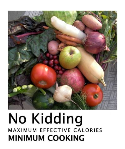 E-Cookbook No Kidding: for those that need maximum nutrition, minimum cooking skills and equipment.