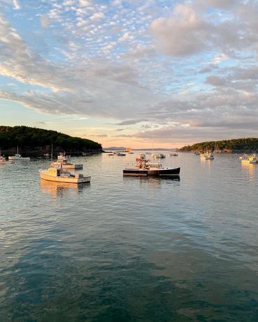 Stunning waterfront littered with cute boats as far as you can see