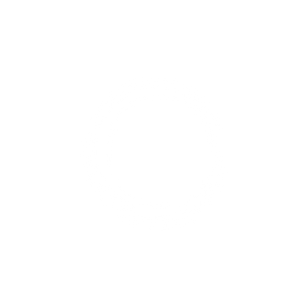 A circle drawn with white paint