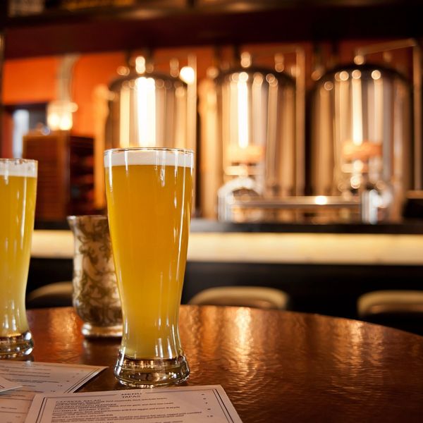 Tall glasses of beer on a table with a menu and brewing equipment in the background