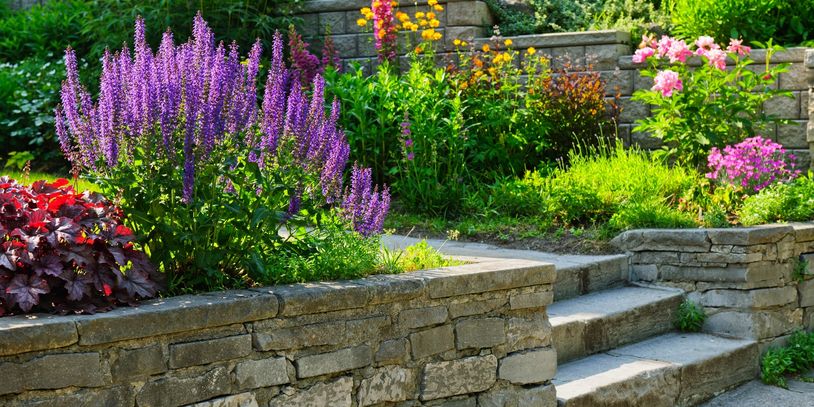 Native plantings in natural stone terrace