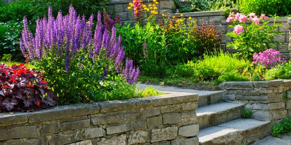Stone Retaining wall and steps with lush pollinator plantings in Raleigh, North Carolina.