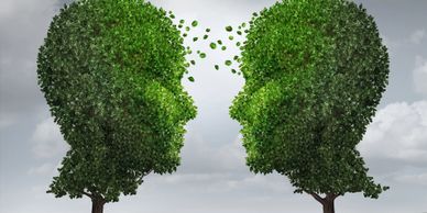A meeting of the minds.  Two trees, shaped into human heads and facing each other.  