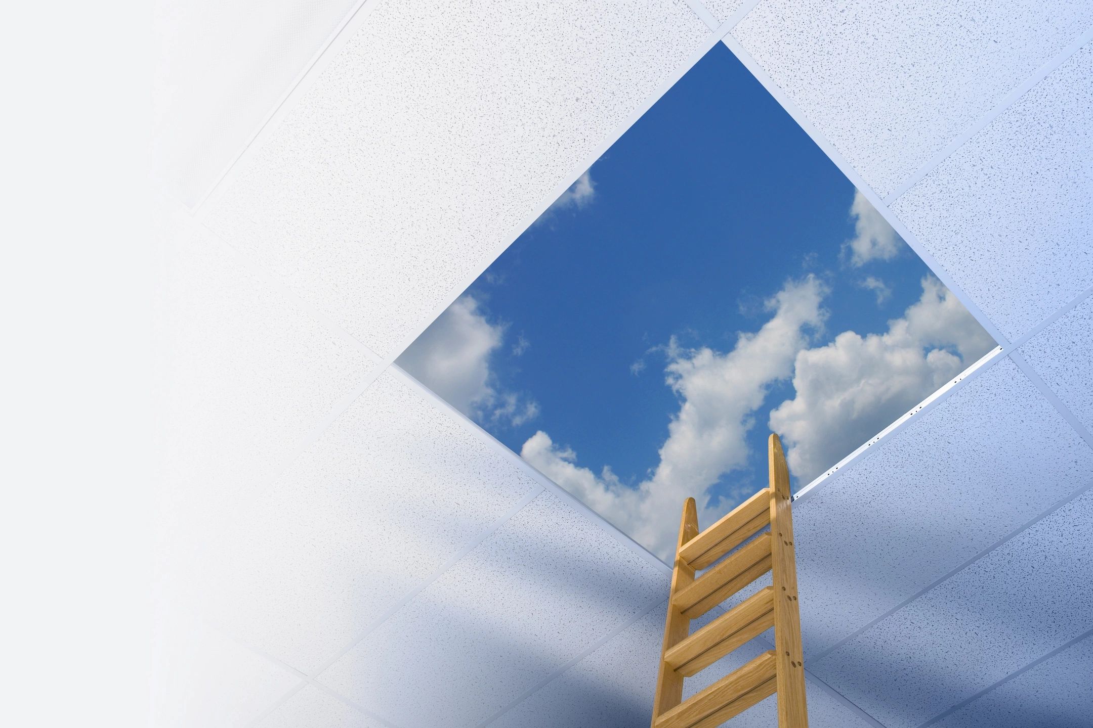 tThe top of a ladder is propped against an open ceiling with a cloudy blue sky visible above.