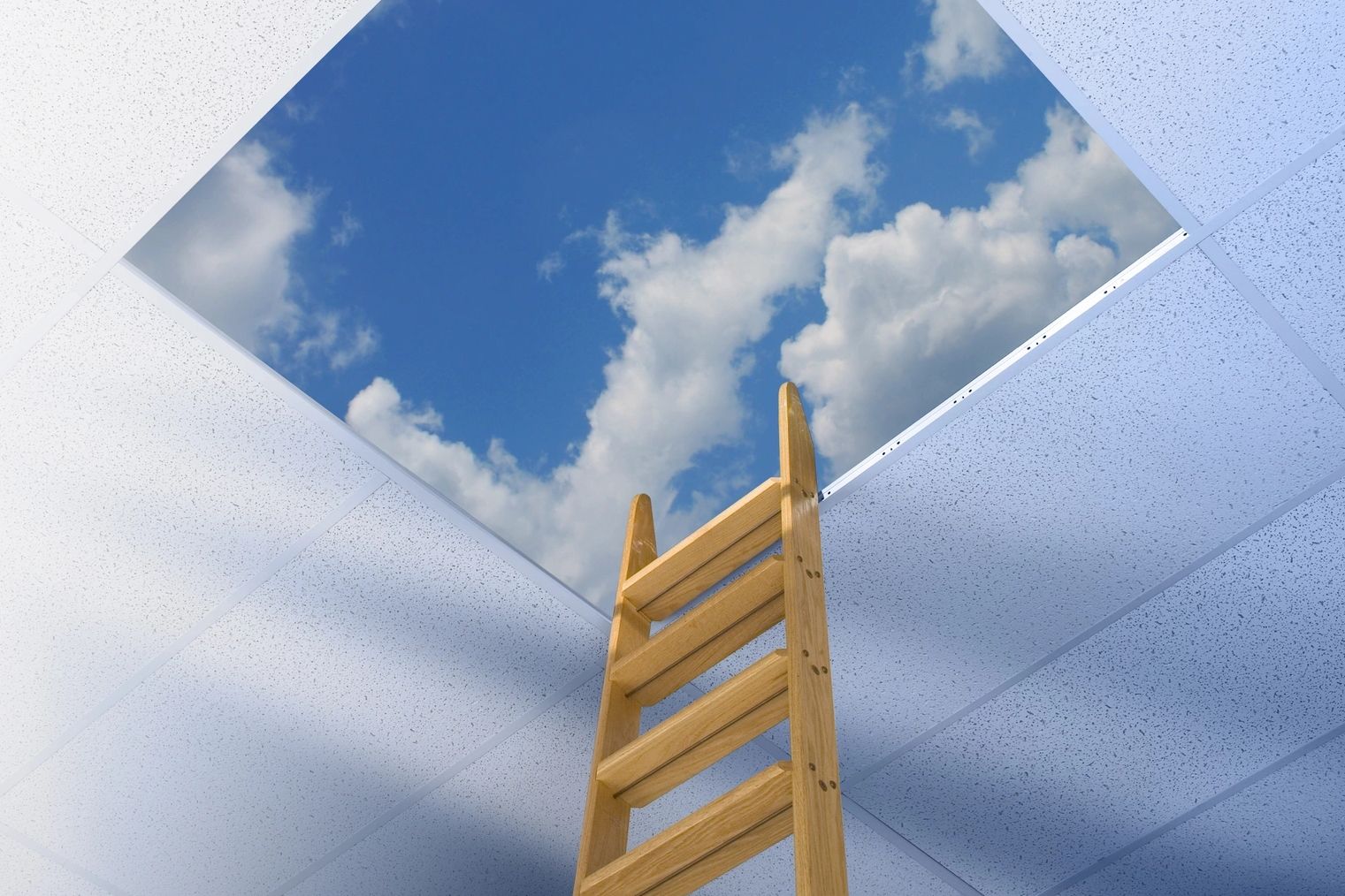 A ladder pokes through an office ceiling and points toward the sky.