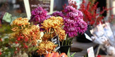 fresh cut flower, flower market, flower stand, farm, farmers market, local grown, small business