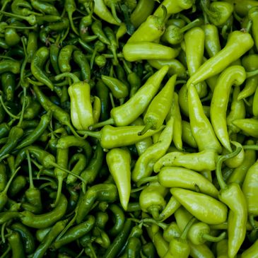 Fresh Peppers from our supplier before we get them as dried and crushed.