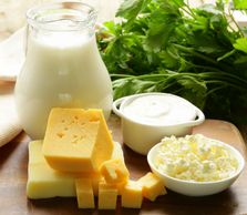 Dairy products/ Milk/ Cheese/ Butter/ Cream/ Powder Milk