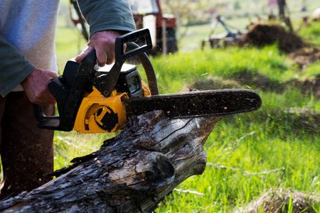 Capitol Tree Service Inc. gallery 9