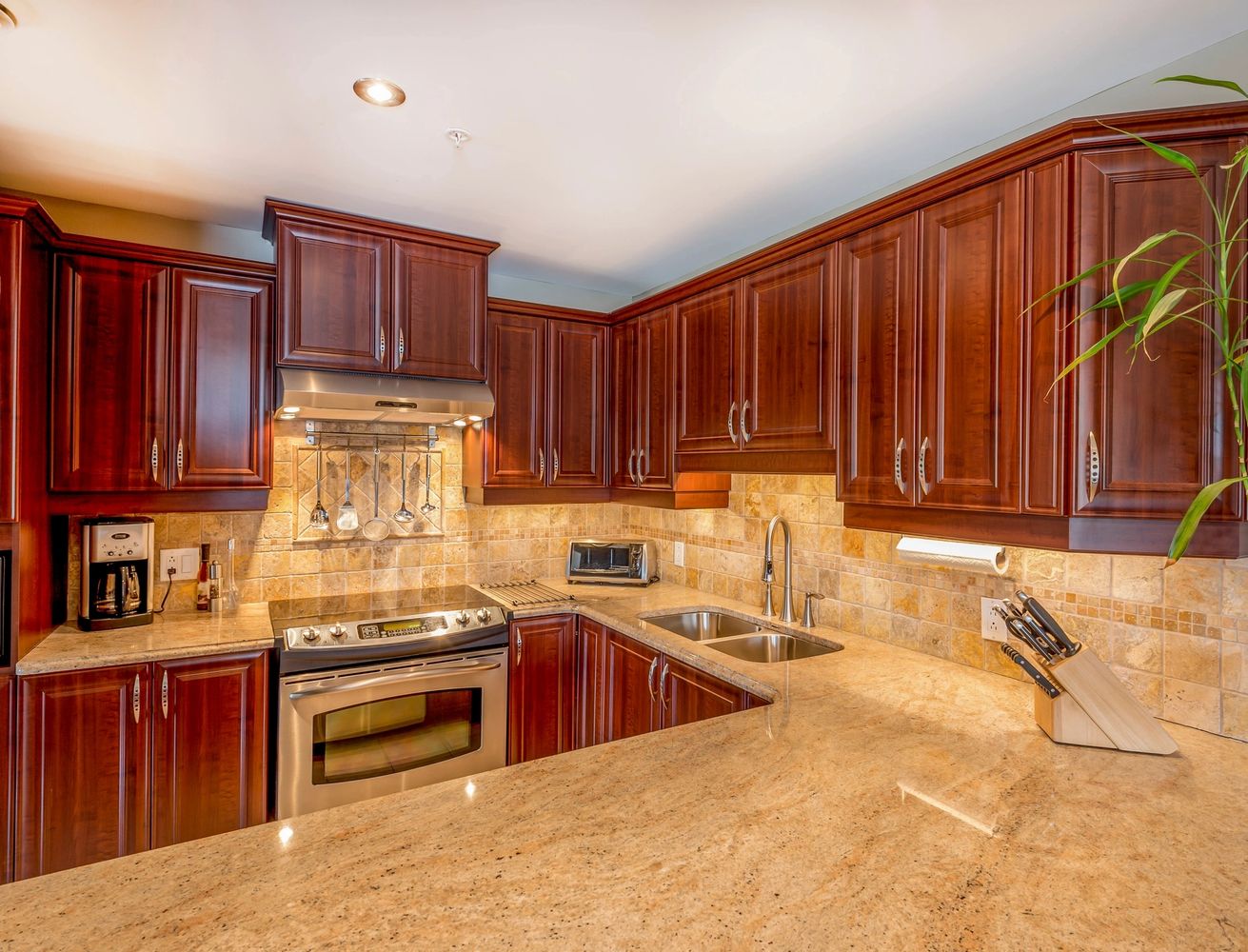 High end kitchen. Wrap around marble countertop, mahogany (to ceiling) cupboards, induction stove.