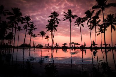 tropical waters at sunset with palm trees