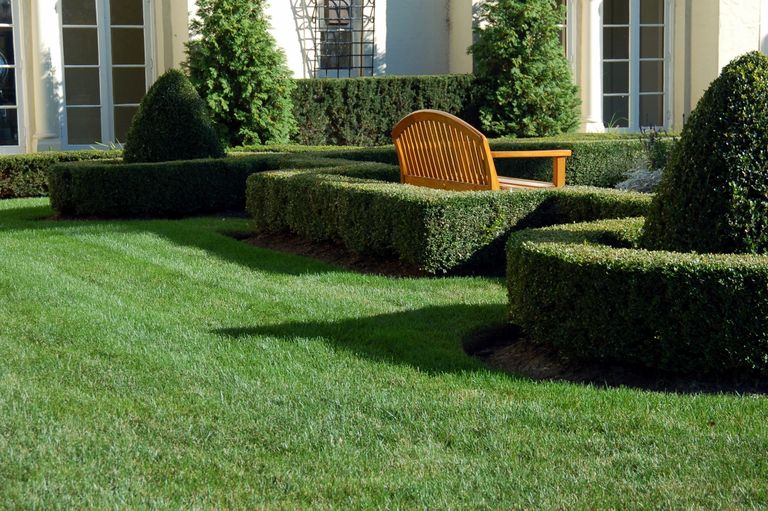 Shrub Trimming Perfection from Mow Trim Blow