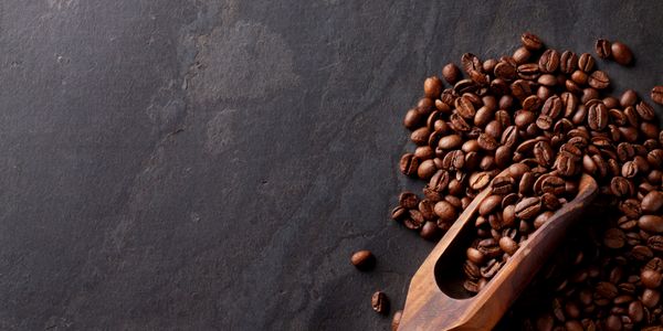 Mia Noi Trading Company, the origins of coffee