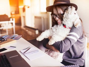 A white dog sits on a womans lap at a desk