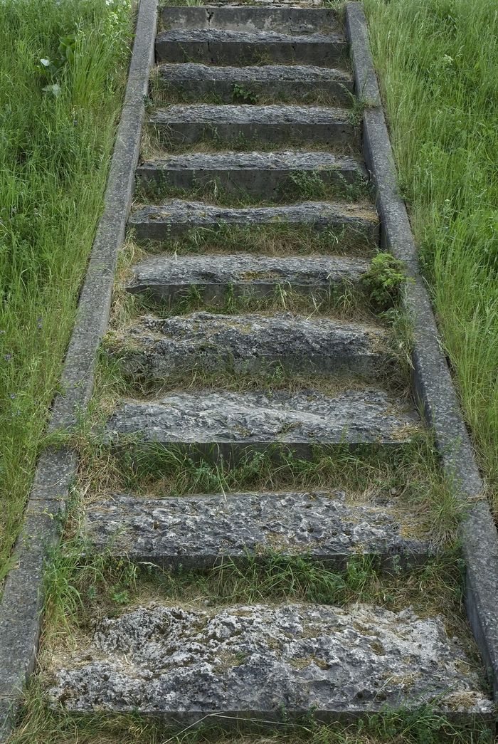 Mossy steps