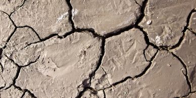 soil cracks