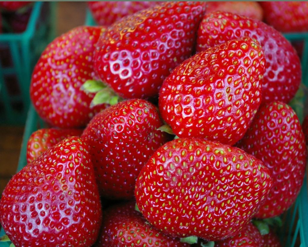 Sweet Ripe Strawberries