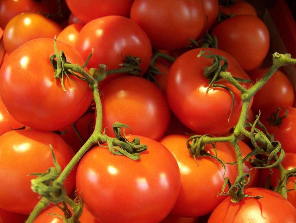 local vine ripe tomatoes pesticide free 