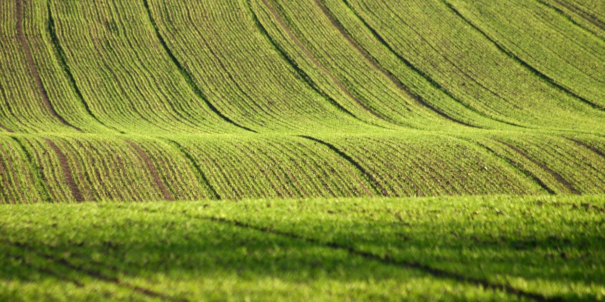 hay, soil and forage testing, kittitas county