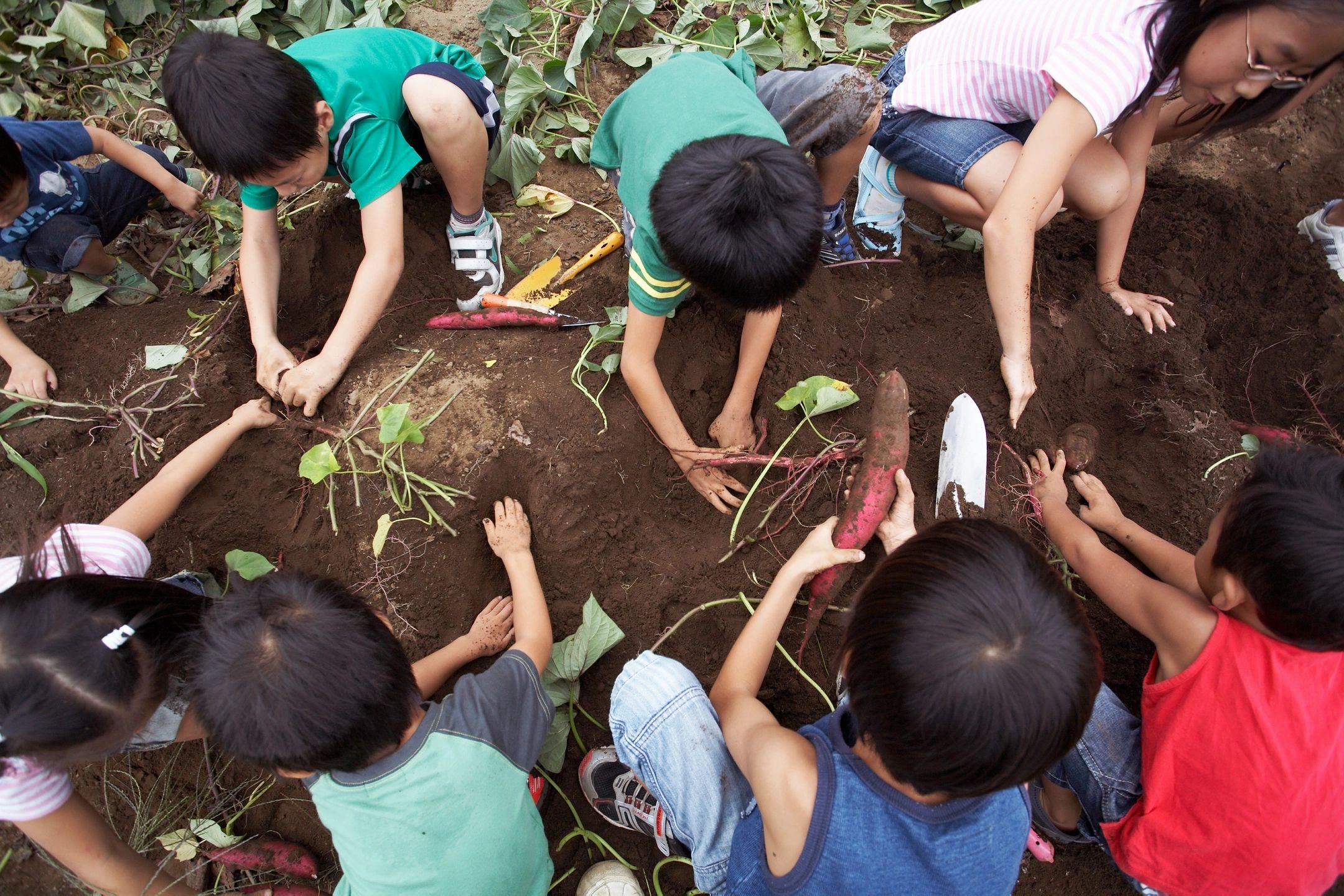Kids getting their hands dirty by gardening. 