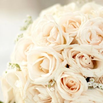 Cream rose brides bouquet 