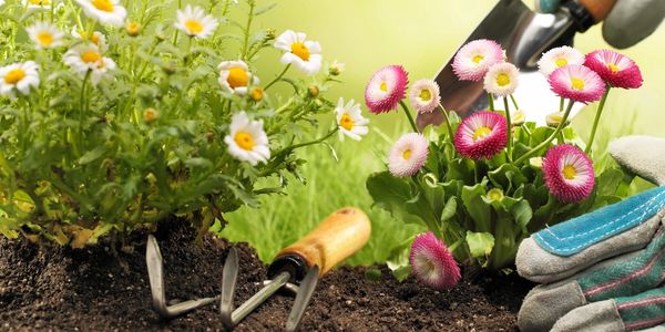 Gardener, Gardening, Garden Maintenance, Planting, Pressure Washing, Jet Washing, Exterior Cleaning