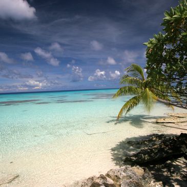 Tropical beach with shallow water and coral reefs and palm trees
