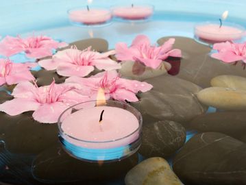 Peace and beauty with lilies floating on calm water
