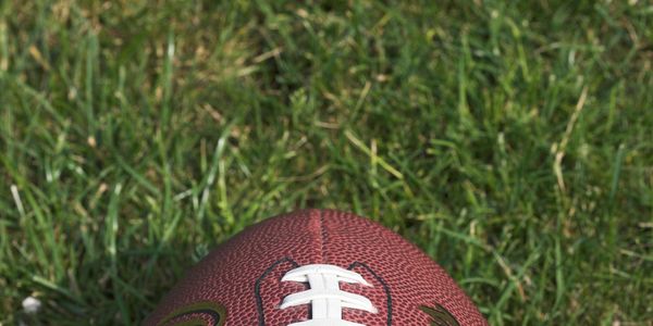 placeholder image of a football in grass