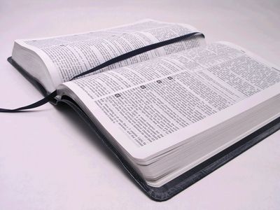 Click on the bible image above to read the 'WORD OF GOD' on your Web browser
