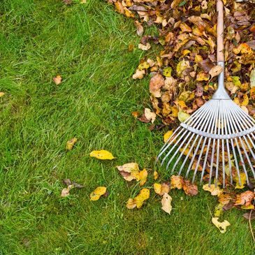 Fall leaves and a rake spread across a green lawn