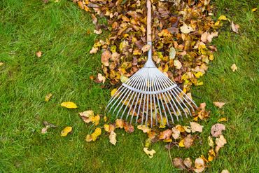 Raking leaves as a part of a fall yard clean up for our client Catherine in Murrieta.