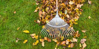 Rakes for lawn cleanup.