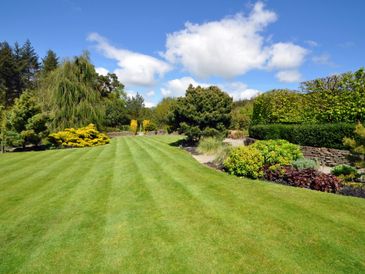 Well maintained lawns and edges 
Shaped bushes and shrubs 