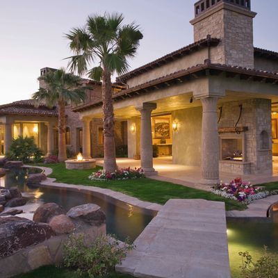 luxury home with palm tree

