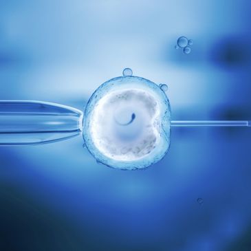 Methods to boost success rate of IVF or IUI