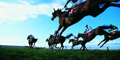 Events chauffeur service horse racing