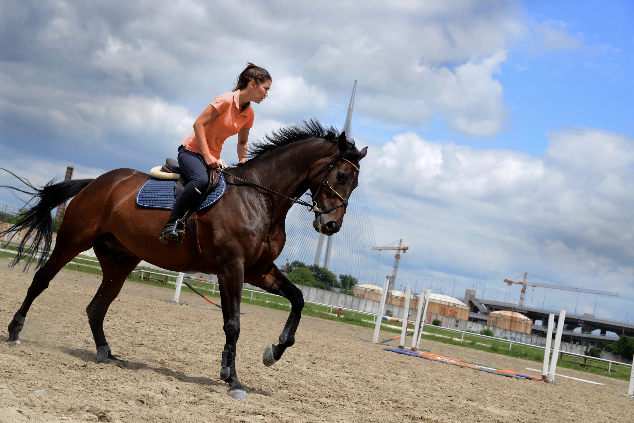 Equinox Sport Horses